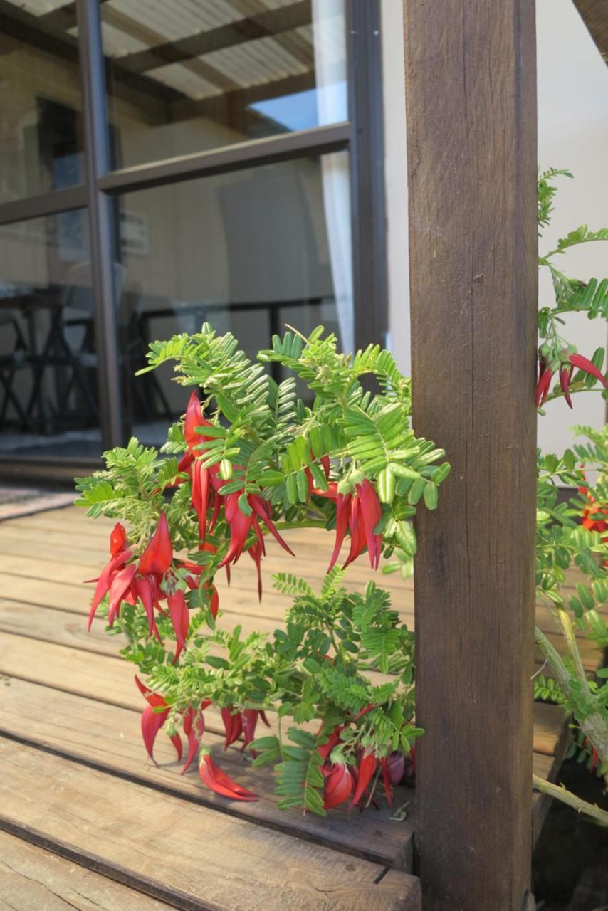 Tophouse Mountainview Cottages سانت آرنو المظهر الخارجي الصورة